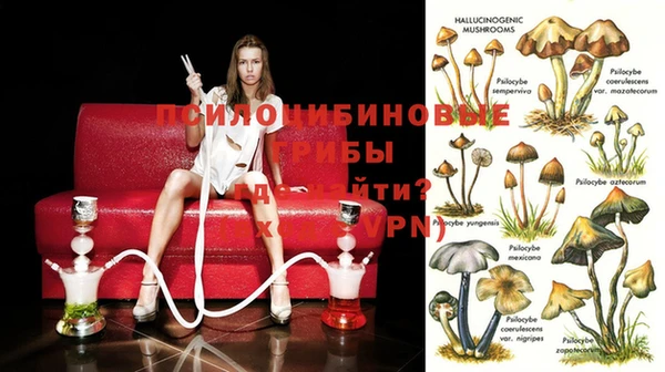 бошки Балахна