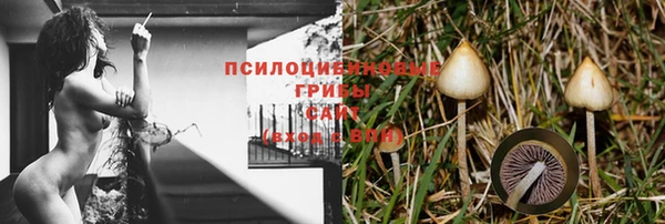 бошки Балахна