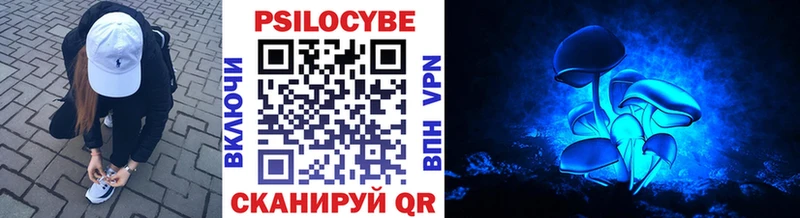 Псилоцибиновые грибы мухоморы  где найти   Безенчук 